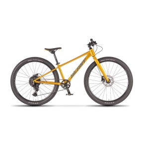 Beany Blaster XC 26" Kids Bike