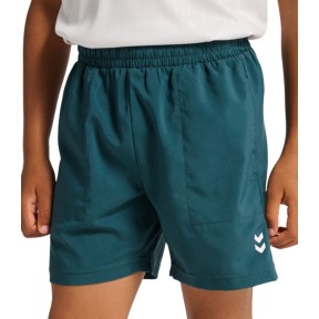 Hummel Pulse Workout Sports Shorts - Kids