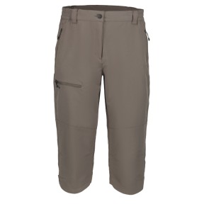 Icepeak Beattie Hiking Shorts - Women's