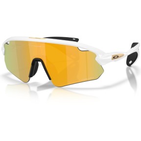 Oakley Stunt Devil Sport Sunglasses