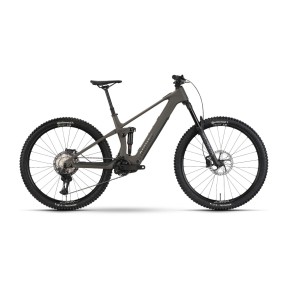 Raymon Airok Pro Electric Mountain Bike