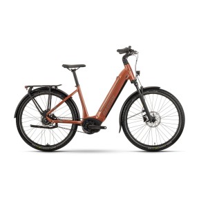 Raymon Metmo Electric City Bike - Women's