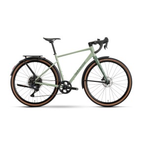 Raymon Territ Auto Street Gravel Bike
