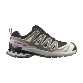 Salomon XA PRO 3D V9 Gore-Tex Trail Running Shoes - Women's