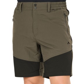 Whistler Avian Hiking Shorts - Men's