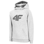 4F JBLM002A Sweatshirt Boys, Grey