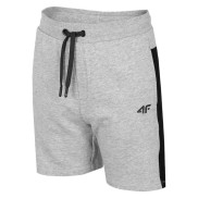 4F JSKMD002 Boy's 4F Shorts, Grey