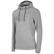 4F Men's Hoodie BLM002, Grey | Vīriešu Džemperis