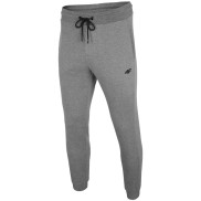 4F Men's Pants SPMD001, Grey