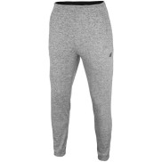 4F Men's Pants SPMTR001, Grey