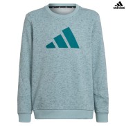 adidas Future Icons 3-Stripes Kids Sweatshirt, Magic Grey/Legacy Teal