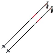 Alpina Backcountry Poles