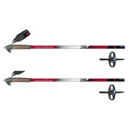 Alpina Ski Poles BC