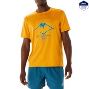 Asics Fujitrail Logo SS Men's Top, Sandstorm