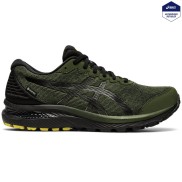 Asics Gel-Cumulus 22 G-TX Men's, Smog Green/Black