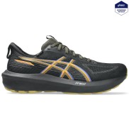 Asics GT-1000 14 GTX Skriešanas Apavi - Vīriešu