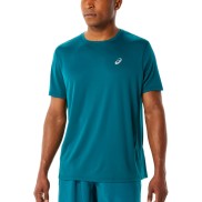 Asics Katakana SS Men's Top, Velvet Pine