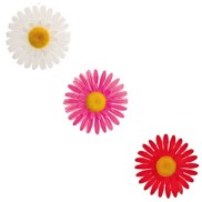 Basket Flowers Bige Size 9cm