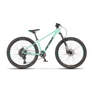 Beany Blaster 26" Kids Bike