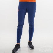 Bjorn Daehlie Men's Tights Balance, Blue