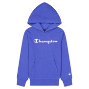 Champion Hooded Boys Sweatshirt, Blue