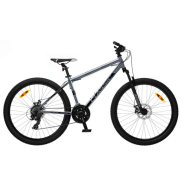 Classic Pro 26 Disc Bike, Metallic