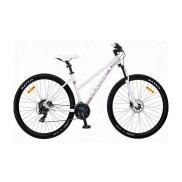 Classic Pro Lady 29" Mountain Bike - Women's