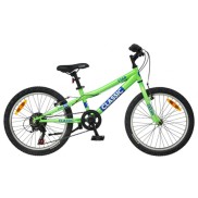 Classic Star 20'' Kids Bike, Green