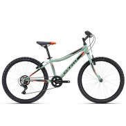 CTM Berry 1.0 Kids 24'', Grey Green/Orange