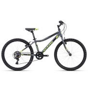 CTM Berry 1.0 Kids 24'', Grey/Lime
