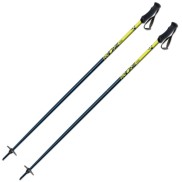 Fischer RC One Alu Ski Poles