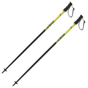 Fischer RC4 Pro Alpine Poles