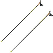 Fischer RCS Poles