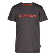 Icepeak Kemberg Jr Boys T-Shirt, Brown
