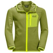 Jack Wolfskin Active Kids Fleece Jacket, Green Tea