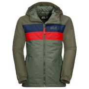 Jack Wolfskin Four Lakes WP Winter Kids Jacket, Thyme Green