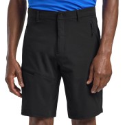 Jack Wolfskin Pico Trail Hiking Shorts - Men's