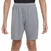 Nike Dri-Fit older zēnu šorti, grey