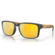 Oakley Holbrook Matte Carbon Frame, Prizm 24k Polarized