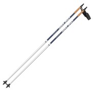 One Way Diamond 05 Ski Poles