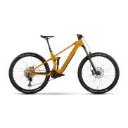 Raymon Airok Comp E-MTB Mountain Bike