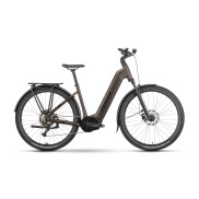 Raymon Tahona E-Trekking City Bike