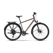Raymon Zayn Auto Diamond Trekking Bike - Men's