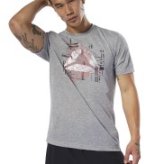 Reebok GS Foundation Men's Tee, grey