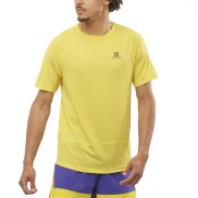 Salomon Cross Run Men's SS Tee