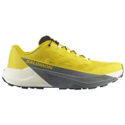 Salomon Pulsar Taku Skriešanas Apavi - Vīriešu