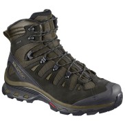 Salomon Quest 4D 3 GTX Men's Shoes, green