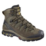 Salomon Quest 4D 3 GTX Men's Shoes, Green Sulphur