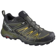 Salomon X Ultra 3 GTX Men's Hiking Shoes, Grey/Green