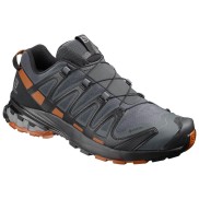 Salomon XA pro 3D V8 GTX Men Trail Running Shoes, ebony/caramel